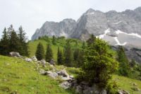 2015-06-25_05Drijaggenalm (136)b.JPG